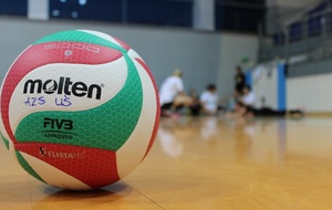 637ba2463bfea_volley4.jpg
