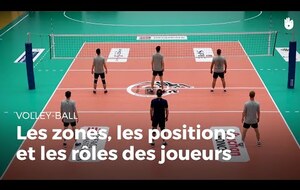 Zones, positions et rôles